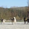 Training DCT #18-04 Thalheim OL